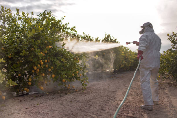 Professional Pest Control in Midvale, UT